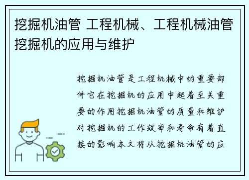 挖掘机油管 工程机械、工程机械油管挖掘机的应用与维护